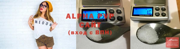 a pvp Белокуриха