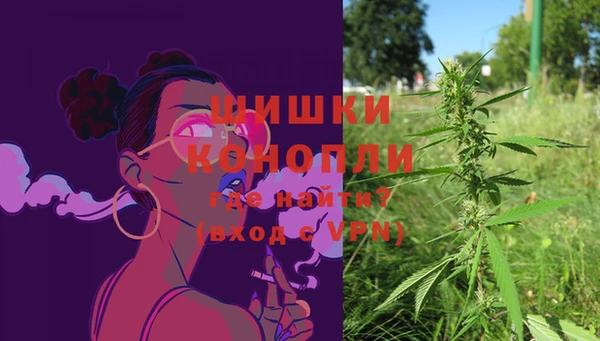 a pvp Белокуриха