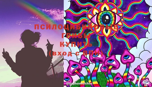 a pvp Белокуриха