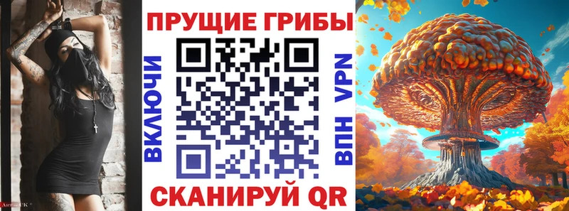 Псилоцибиновые грибы GOLDEN TEACHER  Бугульма 