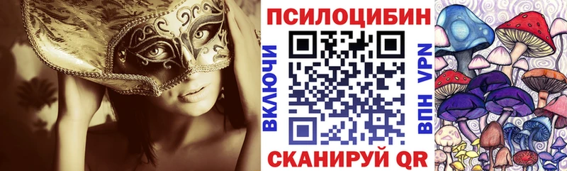 Псилоцибиновые грибы мицелий Бугульма